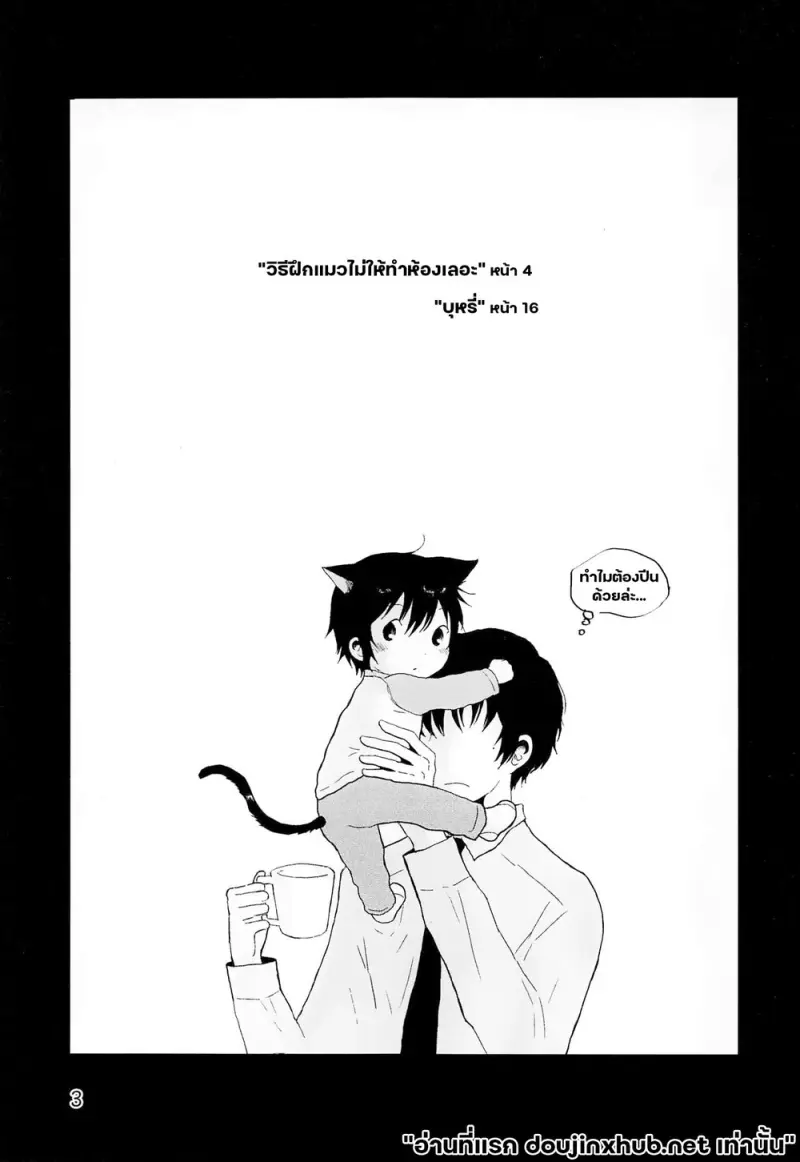 โดจิน ขนแมวกลิ่นควัน